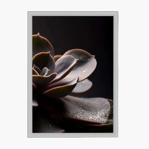 Aluminum slim light box